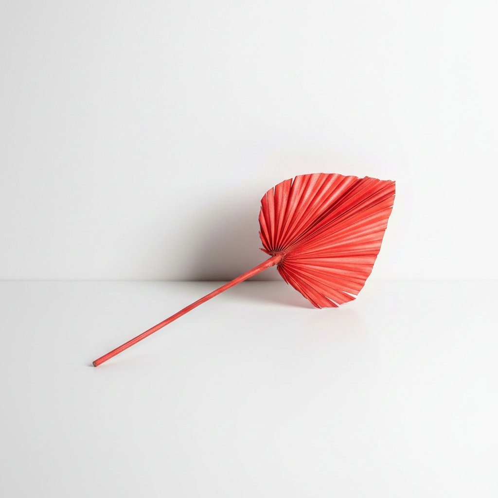 Sušený Palm Spear červená – dekorativní palmový list pro sváteční aranžmá